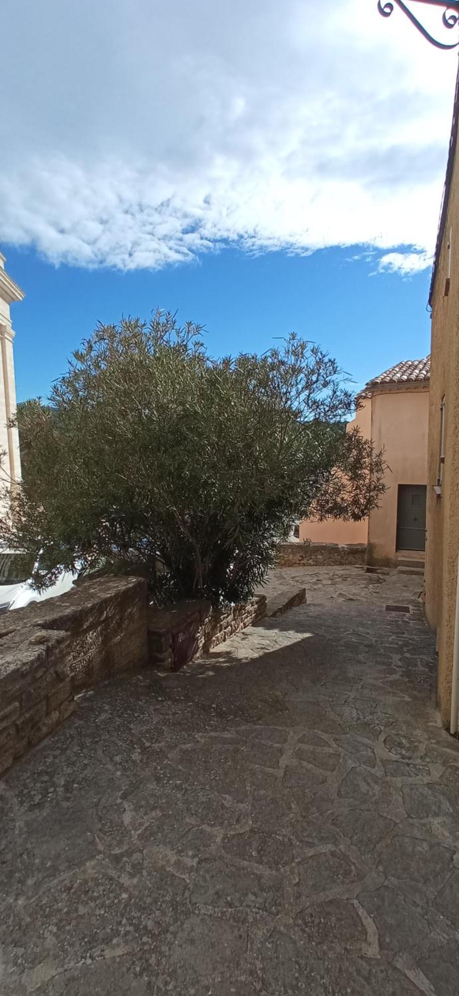 בדואן Studio Tout Confort En Provence Mont Ventoux. מראה חיצוני תמונה