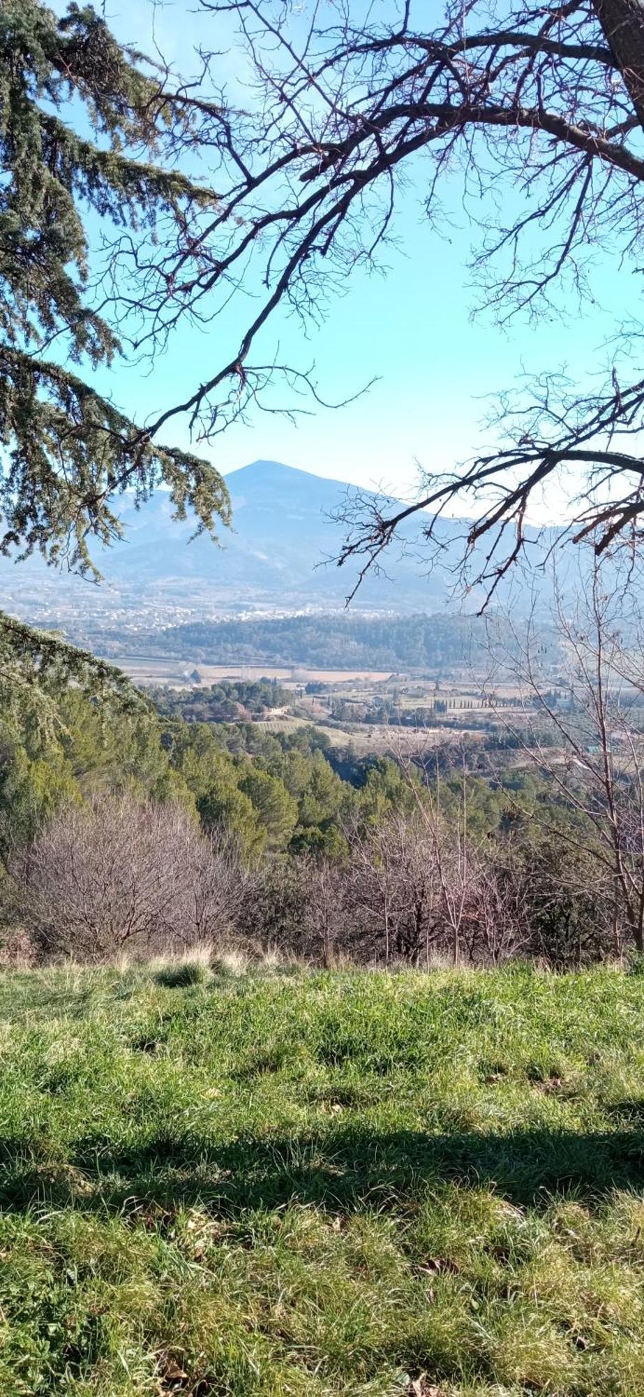 בדואן Studio Tout Confort En Provence Mont Ventoux. מראה חיצוני תמונה